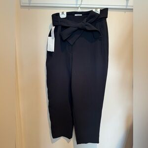 Aritzia Jalade Pant